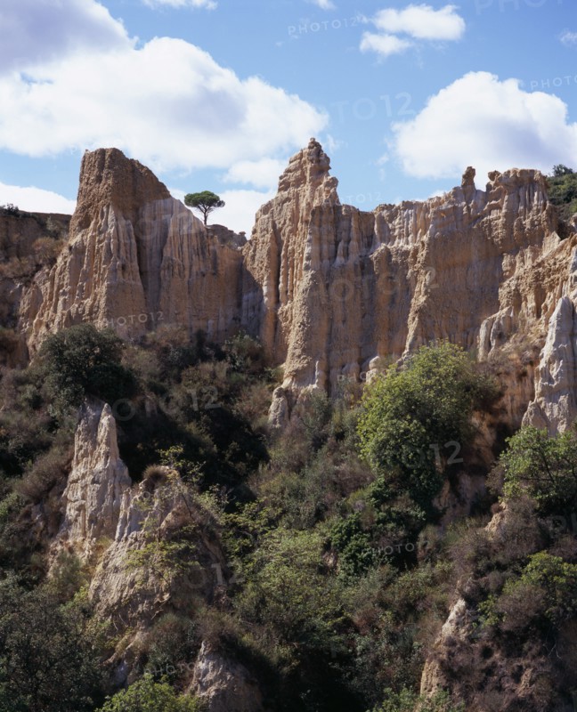 FRANCE, Languedoc-Roussillon, Pyrenees-Orientales, Ille Sur Tet.  Sandstone area known as Orgues.  Eroded pinnacles of sandstone rock rising above trees.