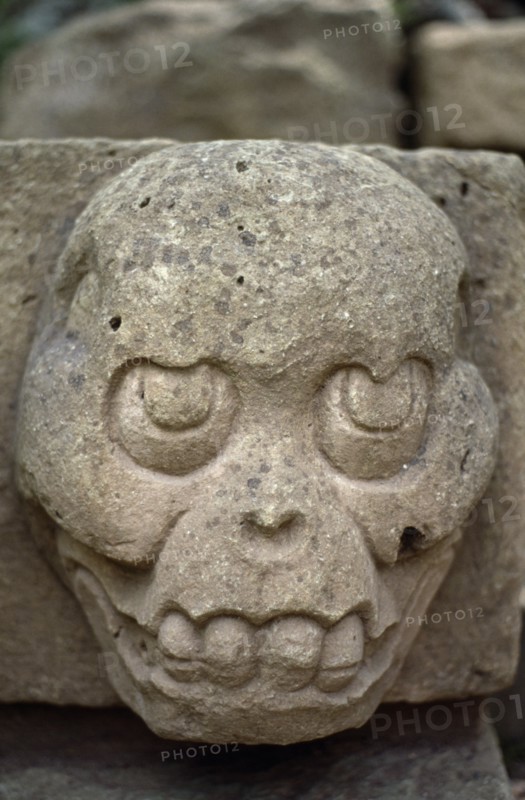 HONDURAS, Copan, Site of ancient Mayan ruins.  Detail of carved stone skull-like face.