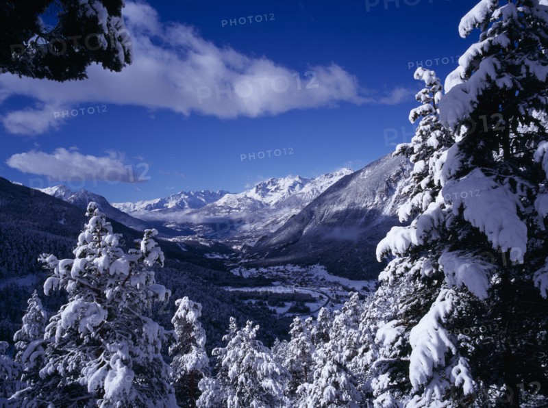 FRANCE, Provence-Cote d’Azur, Hautes-Alpes, View west from Col de Montgenevre over snow covered trees towards Ecrin National Peak and mountain peaks.  Part framed by snow covered branches in foreground.