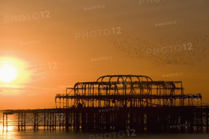 England, East Sussex, Brighton and Hove