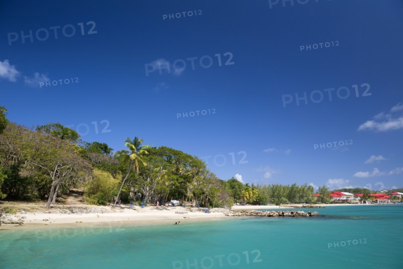 WEST INDIES, St Lucia, Gros Islet, Pigeon Island National Historic Park Tourists on the beach lined with coconut palm trees