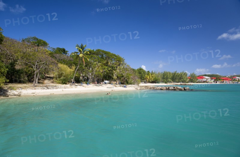 WEST INDIES, St Lucia, Gros Islet, Pigeon Island National Historic Park Tourists on the beach lined with coconut palm trees