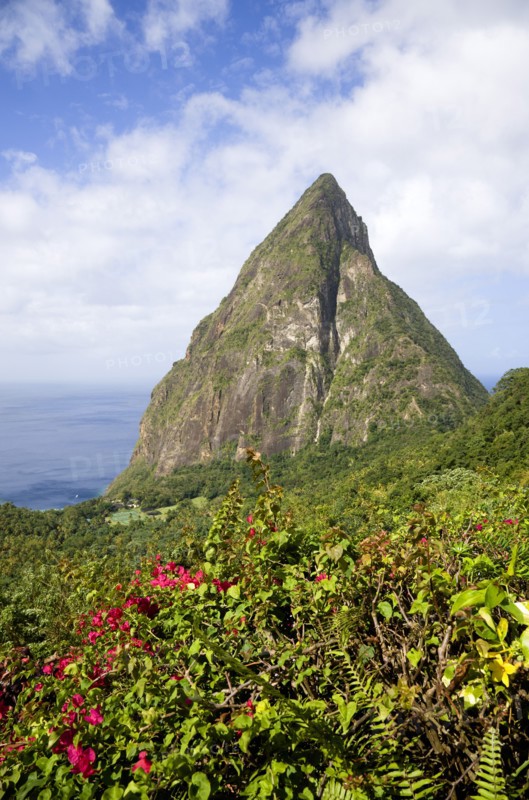 WEST INDIES, St Lucia, Soufriere , Val des Pitons The volcanic plug of Petit Piton and the lush valley seen from the sun deck of the Ladera Spa Resort Hotel