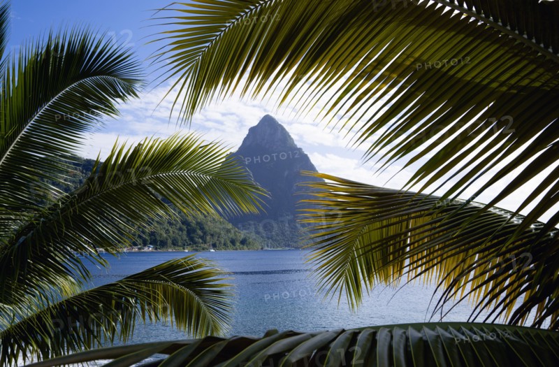 WEST INDIES, St Lucia, Soufriere, The volcanic plug mountain of Petit Piton seen through the branches of a coconut palm tree