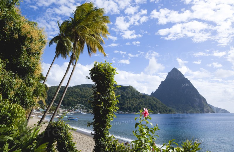 WEST INDIES, St Lucia, Soufriere, Beach lined with coconut palm trees with the town and the volcanic plug mountain of Petit Piton beyond