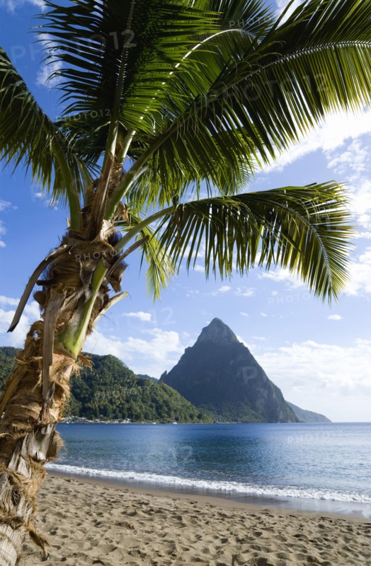 WEST INDIES, St Lucia, Soufriere, Soufriere Beach lined with coconut palm trees with the town and the volcanic plug mountain of Petit Piton beyond