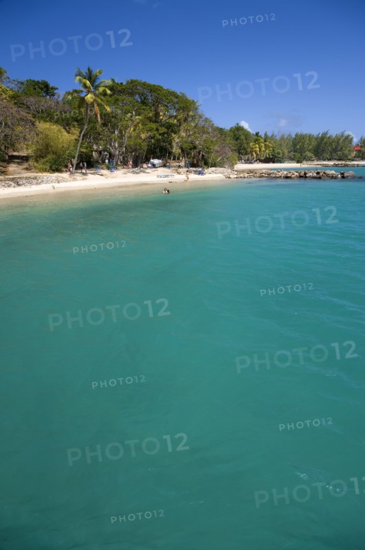 WEST INDIES, St Lucia, Gros Islet , Pigeon Island National Historic Park Tourists on the beach lined with coconut palm trees