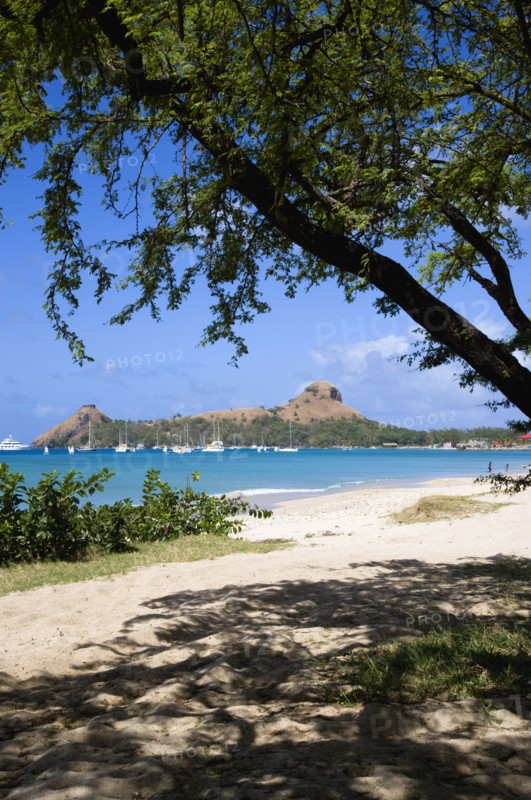 WEST INDIES, St Lucia, Gros Islet , Pigeon Island National Historic Park seen through trees from a nearby beach on a causeway to the island with yachts at anchor in Rodney Bay