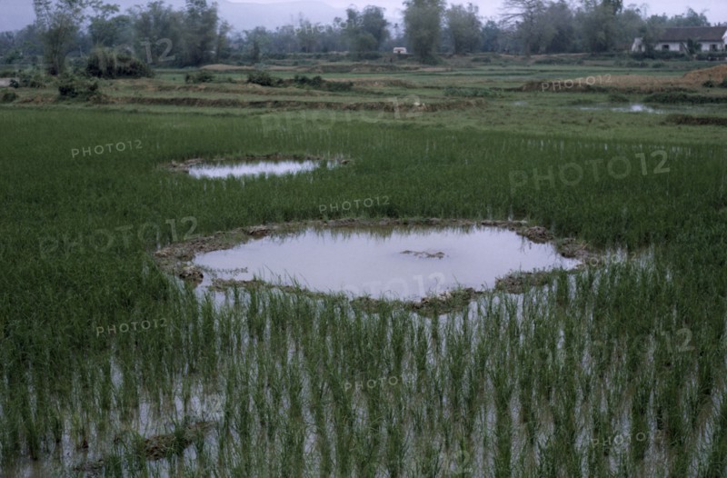VIETNAM, North, War, Paddy fields with bomb craters.