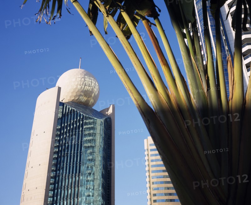 UAE, Dubai, Deira, "Etisalat Building on Dubai Creek with traveller’s palm, partly in shadow in the foreground."