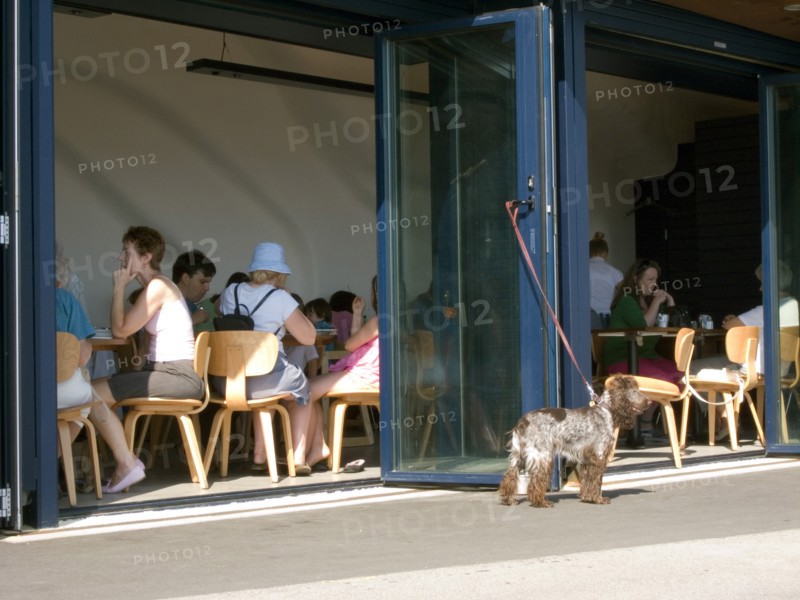 ENGLAND, West Sussex, Littlehampton, Customers sitting at tables inside the East Beach Cafe designed by Thomas Heatherwick. Dog tied to glass door waiting outside
