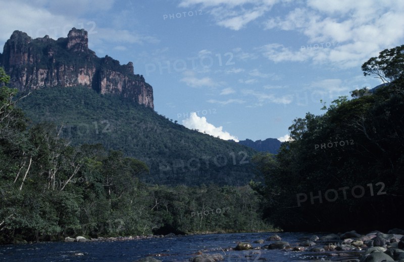 VENEZUELA, Estado Bolivar, Rio Carrao, "River flowing through tree covered landscape overlooked by sheer, eroded cliff."