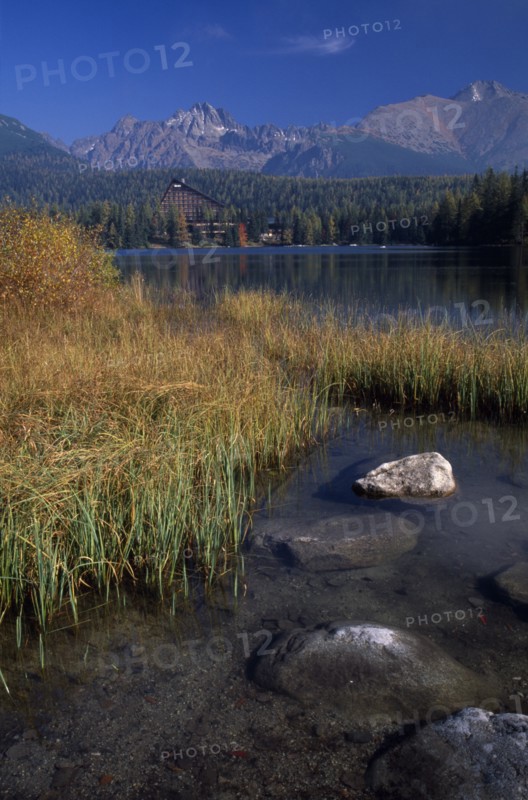 SLOVAKIA, Carpathian Mtns, High Tatras Mtns, Strbske Pleso.  View across lake towards distant chalet and mountains beyond with surrounding trees and reeds and vegetation in foreground in Autumn colours.