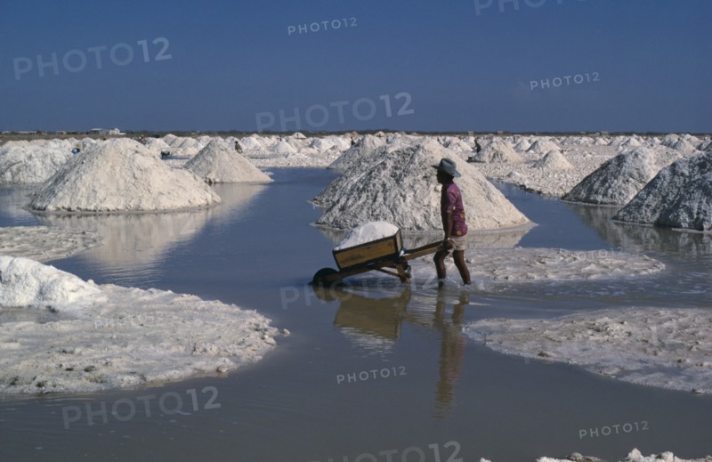 COLOMBIA, La Guajira , Manaure, Manaure Salt Mines in the Guajira Peninsula. A worker pushing a wheel barrow load of salt through the salt pans to trucks which transport the salt throughout Colombia.