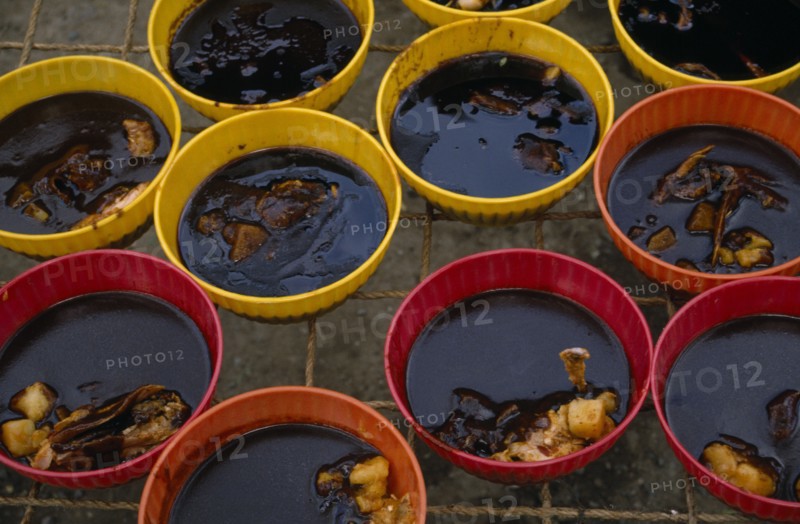 MEXICO, Juchitan, "Mole, a traditional dish of a thick, rich sauce containing chocolate and spices and often served with poultry."