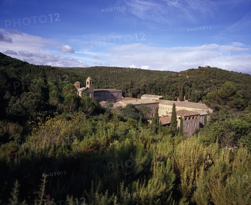 FRANCE, Languedoc-Roussillon, Aude, Fontfroide.  Rooftops and bell tower of former Cistercian Abbey among cypress and other trees.  The remaining buildings date from the twelth century.