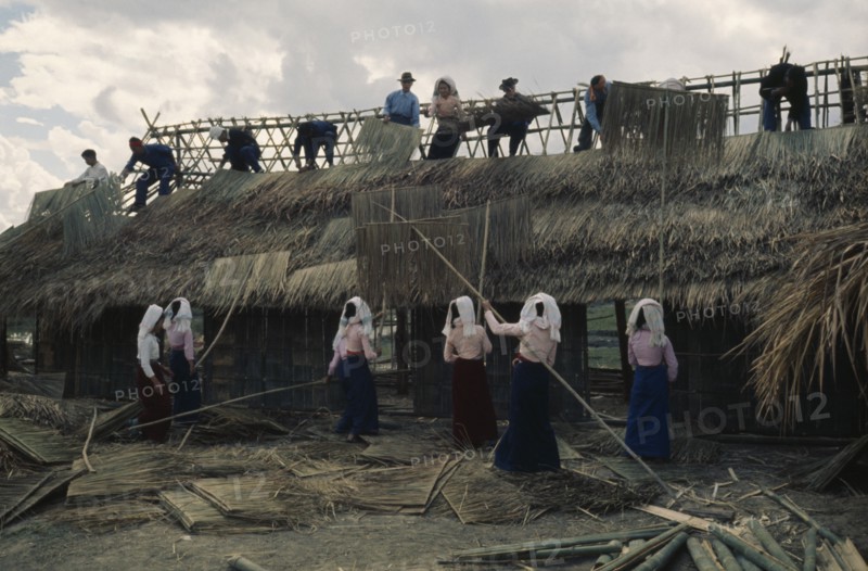 20088785 CHINA  People Tia minority men and women working together to thatch building.