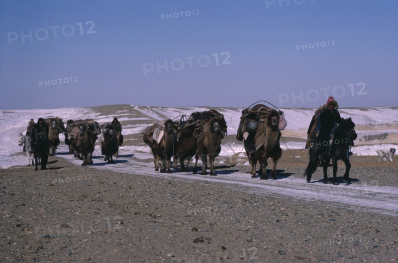 20088802 CHINA Xinjiang Province People Kazakh minority people moving camp riding horses and leading pack camels.