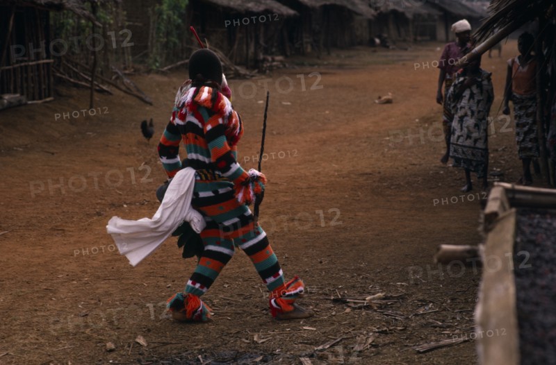 CAMEROON, South West, Rumpi Hills, Masked Ju-ju man wearing striped costume taking part in Leopard Cult or Ekpe masquerade in rainforest village near Mundemba.