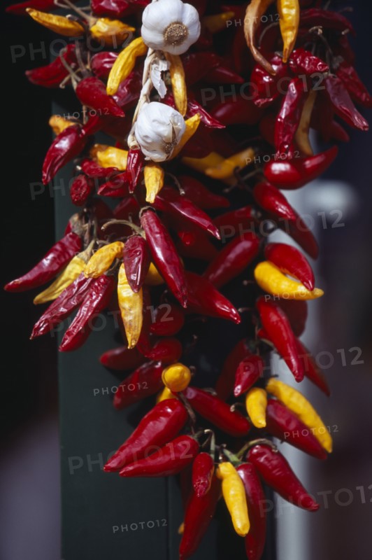 HUNGARY, Budapest, Garlic bulbs and red and yellow paprika hanging on string.
