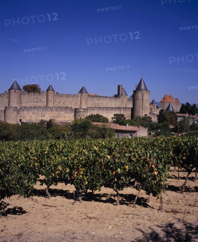 FRANCE, Languedoc-Roussillon, Aude, "Carcassonne.  City view from east towards medieval fortified outer walls of town and from left to right: Tour de Prisons, Tour de Casteras, Tour de Plo, Tour de la Vade. Vines growing in foreground. "