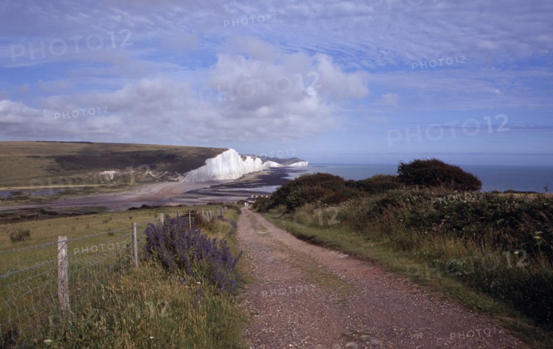 ENGLAND, East Sussex, Seven Sisters, The Seven Sisters white chalk cliffs viewed from a path at Seaford Head