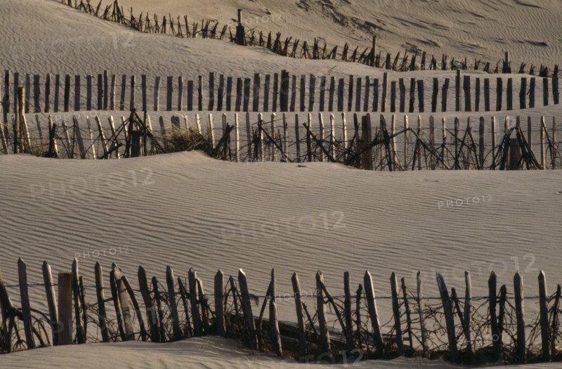 ENGLAND, Devon, Staunton Sands, Lines of picket fencing amongst sand dunes.