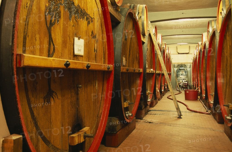 ITALY, Veneto, Lake Garda, Bardolino.  Large wooden wine casks in cellar at the Museum of Wine.