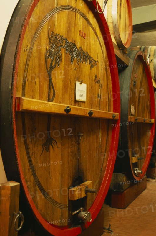 ITALY, Veneto, Lake Garda, Bardolino.  Large wooden wine casks in cellar at the Museum of Wine.  Barrel in foreground labelled as containing Valpolicella.