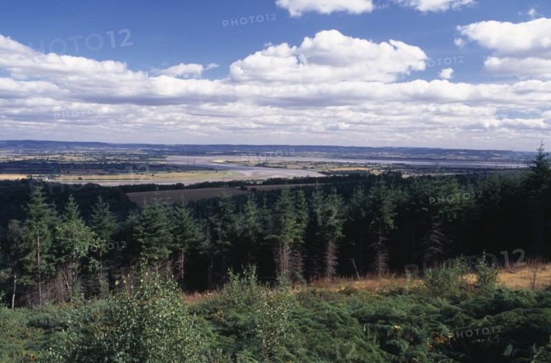 ENGLAND, Gloucestershire, Forest of Dean, Landscape with coniferous plantation and bend in the River Seven beyond.