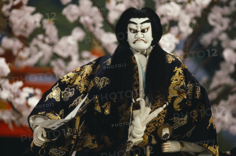 JAPAN, Arts, Performance, "Bunraku puppet male character portraying strong emotion with a series of poses or ‘kata’ accompanied by raised eyebrows, clenched fists and stamping feet."