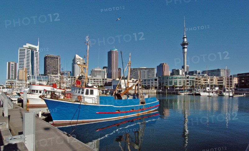 NEW ZEALAND, NORTH ISLAND, AUCKLAND, GENERAL VIEW OF AUCKLAND SKYLINE FROM THE HARBOUR DISTRICT SHOWING THE CITYS SKY TOWER ON THE RIGHT HAND SIDE