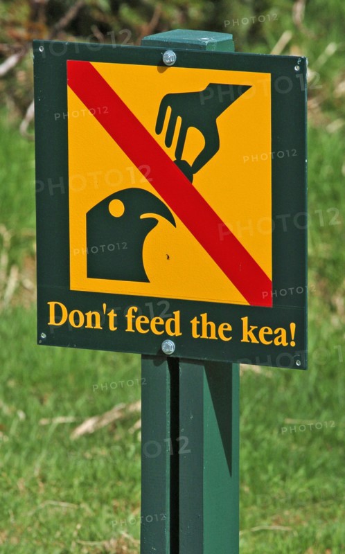 NEW ZEALAND, SOUTH ISLAND, FRANZ JOSEF, "A DO NOT FEED THE KEA PARROT SIGN AT THE FRANZ JOSEF GLACIER, WESTERN NATIONAL PARK, "