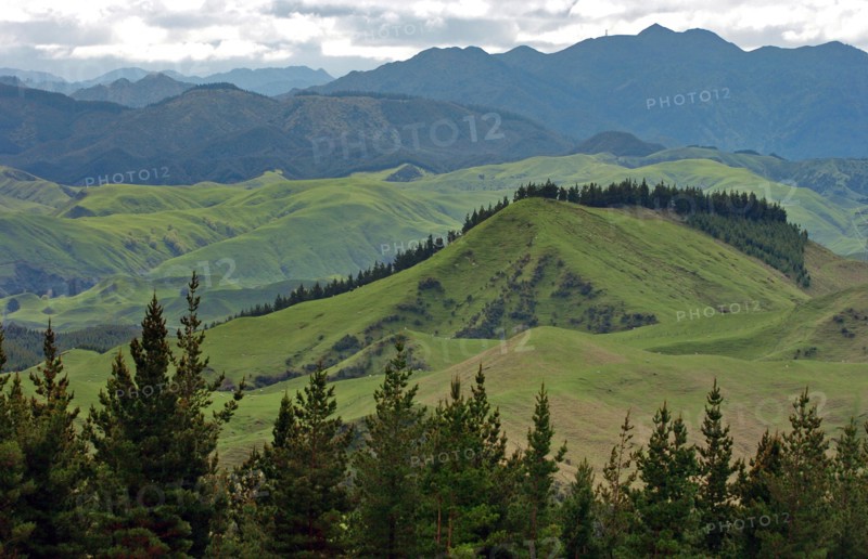 NEW ZEALAND, NORTH ISLAND, HAWKES BAY, "NAPIER, VIEW OF THE PAKAUTUTU MOUNTAINS LOOKING INLAND NORTH WEST OF NAPIER IN THE HAWKES BAY REGION OF NEW ZEALANDS NORTH ISLAND EAST COAST."
