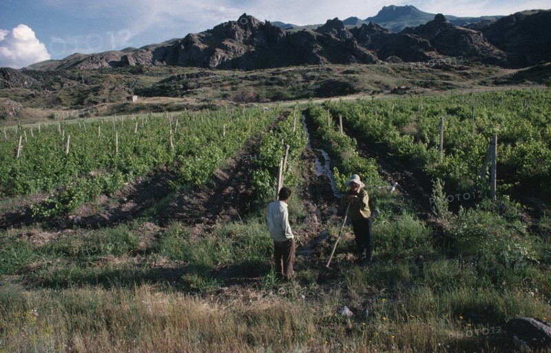 ARMENIA, Vaik Region, Agriculture, Landscape with vineyards and two men stopped in conversation in foreground.