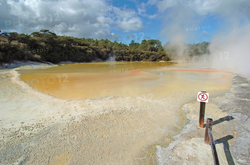 NEW ZEALAND, NORTH ISLAND, ROTORUA, THE CHAMPAGNE POOL OF WAI O TAPU THERMAL WONDERLAND.THE SPRING IS 65 METRES IN DIAMETER AND 62 METRES DEEP.THE POOL WAS FORMED 700 YEARS AGO BY A HYDROTHERMAL ERUPTION.VARIOUS MINERALS ARE DEPOSITED AROUND THE SURROUNDING SINTER LEDGE OF THE POOL PRODUCING MANY DIFFERENT COLOURS.