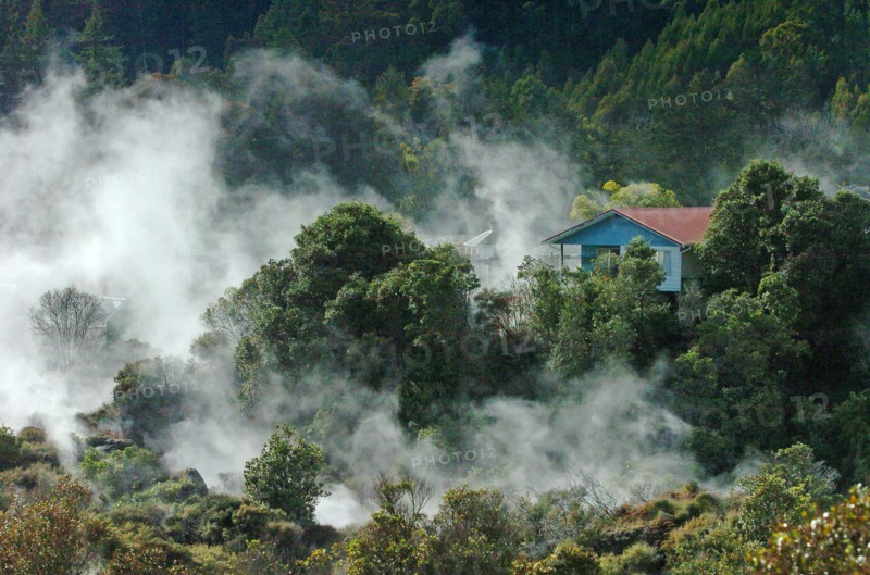 NEW ZEALAND, NORTH ISLAND, ROTORUA, BOILING MUD POOLS AND BOILING SULPHUROUS HOT WATER GEYERS OF WHAKAREWAREWA THERMAL VILLAGE.