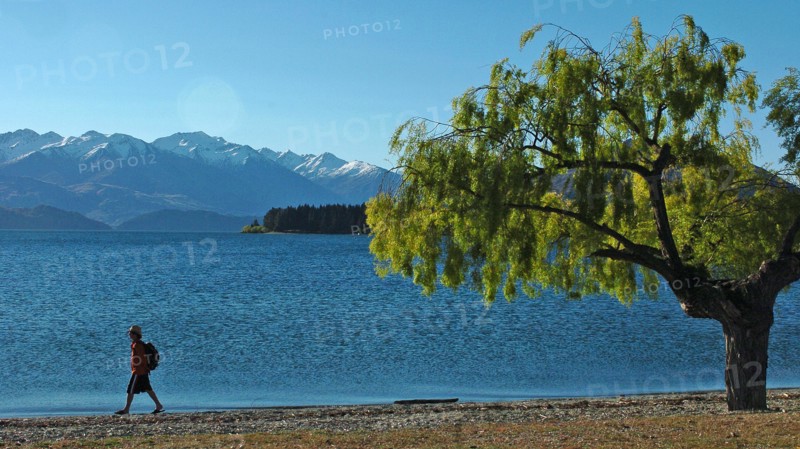 NEW ZEALAND, SOUTH ISLAND, WANAKA, "OTAGO, A MAN WALKS THE SHORELINE OF LAKE WANAKA."