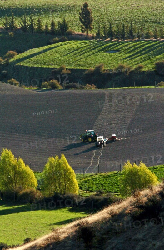 NEW ZEALAND, SOUTH ISLAND, OTAGO, "ARROWTOWN, A TRACTOR PLOUGHS A FIELD IN THE CROWN TERRACE DISTRICT NEAR TO ARROWTOWN, "