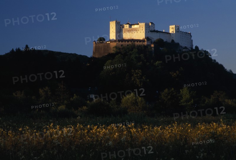 AUSTRIA, Salzburg, Hohensalzburg fortress situated on densely wooded hillside with meadows below.  Construction started 1077 by Archbishop Gebhard.