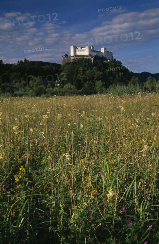 AUSTRIA, Salzburg, Hohensalzburg fortress situated on densely forested hillside above meadowland.  Constructed in 1077 by Archbishop Gebhard.