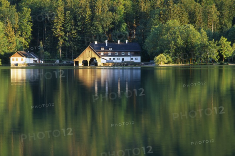 AUSTRIA, Oberosterreich, Mondsee, View across lake towards boat house and other building with forest backdrop reflected in flat surface of water.