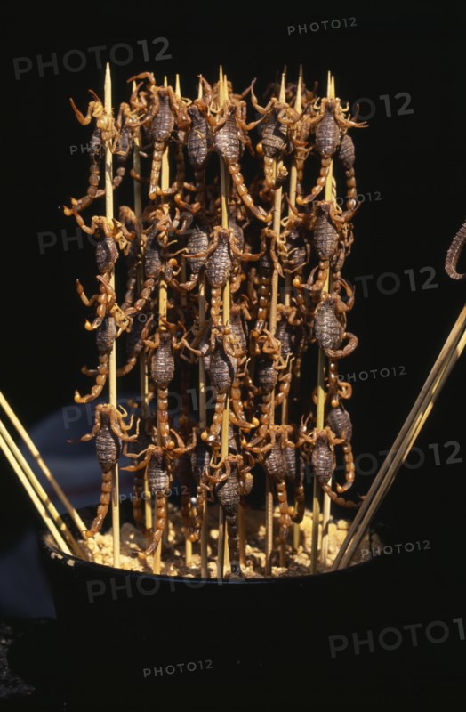 CHINA, Beijing, Barbequed scorpions on bamboo skewers.