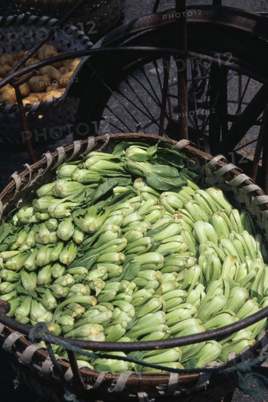 CHINA, Shanghai, "Pak Choi packed in large, circular woven wicker basket."