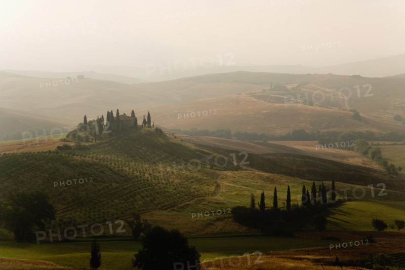 ITALY, Tuscany, San Quirico D’Orcia, Early morning mist in the Val d'Orcia with a hilltop farmhouse surrounded by cypress trees sitting above olive groves and wheat fields