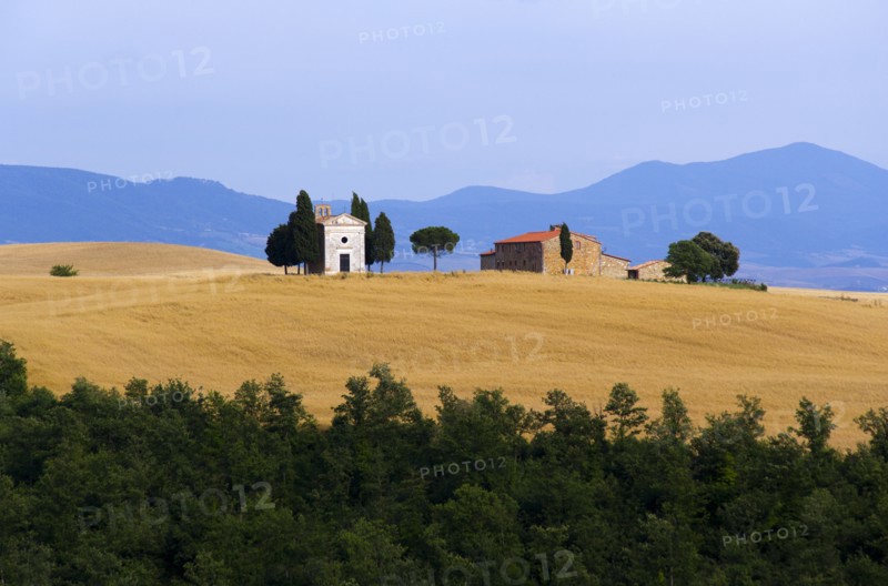 ITALY, Tuscany, San Quirico D’Orcia, Chapel and farmhouse set amongst wheatfields on the top of a hill in the Val d'Orcia