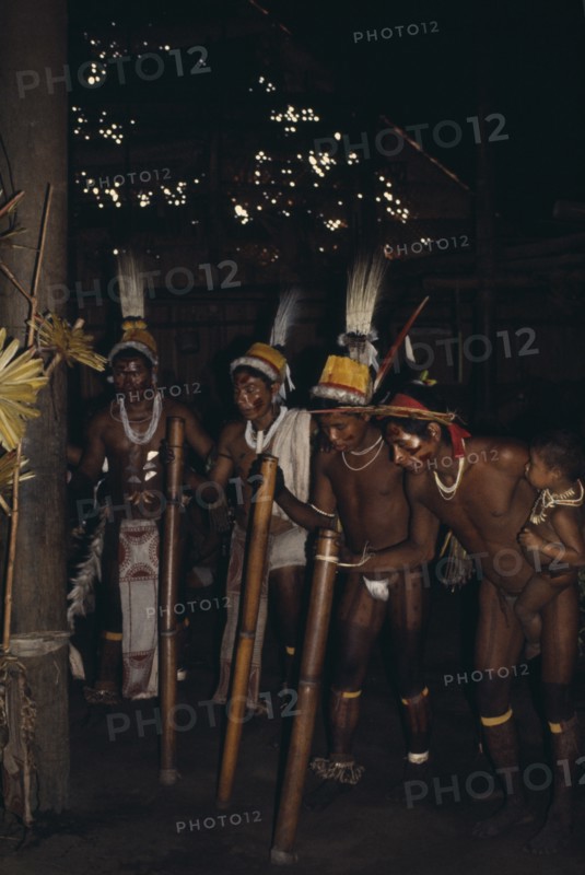 COLOMBIA, North West Amazon, Tukano Indigenous People, Barasana stave dance.  Line of male dancers wearing body paint and feather head-dresses. Tucano sedentary Indian tribe Western Amazonia American Colombian Columbia Hispanic Kids Latin America Latino Performance South America Tukano Turkano