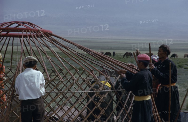 MONGOLIA, Gobi Desert, Bigersum  Freedom negdel collective  Khalkha herdsmen building a ger or yurt on summer grassland pastures.  First erecting the frame. Khalha East Asia Asian Mongol Uls Mongolian
