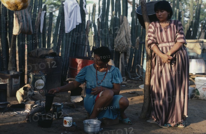 COLOMBIA, Guajira Peninsula, Guajiro Indians, Guajira Indian desert settlement  Two women in family's open shelter-home with small wood fire cooking   possessions hanging on slatted wall and hunting dog in background. Wayu Wayuu Guajro Amerindian Arawakan Colombia-Venezuela border American Colombian Columbia Female Woman Girl Lady Hispanic Latin America Latino South America