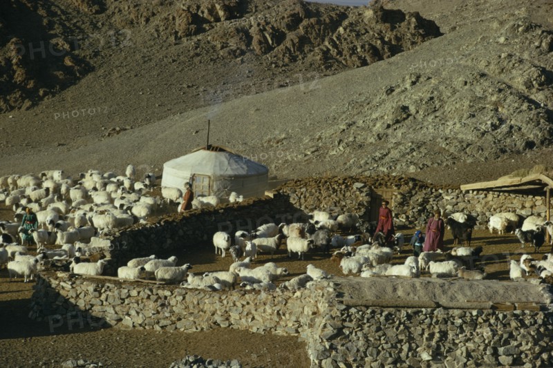 MONGOLIA, Gobi Desert, Khalkha winter sheep camp of gers yurts and flock of sheep  part penned inside stone walled enclosures on steep  barren hillside in mountain landscape. Khalha East Asia Asian Mongol Uls Mongolian Scenic